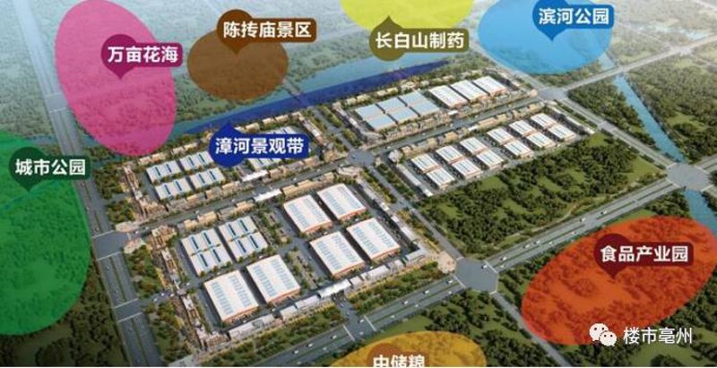 农产品批发市场:传统与创新的博弈