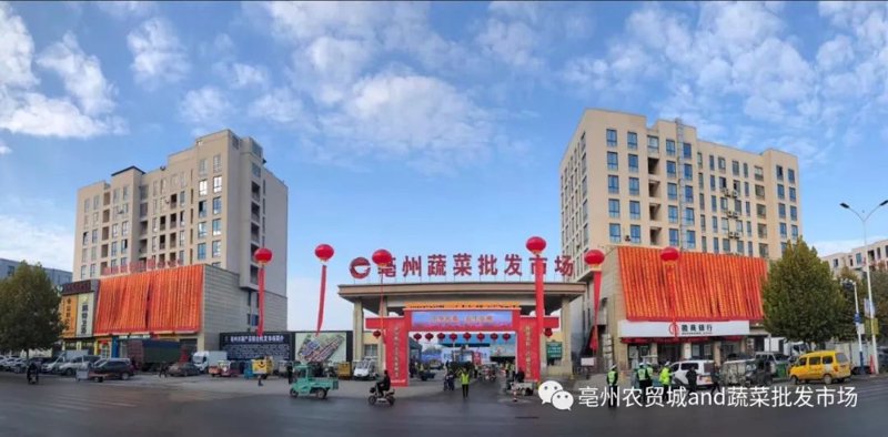 访谈记录:亳州商贸公司的成功之路