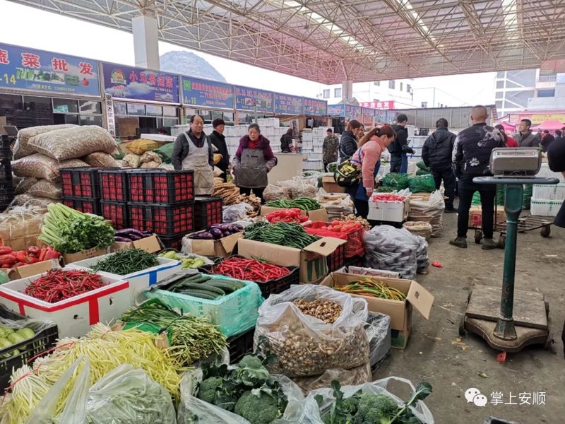 沃禾商贸:市场洞察与策略分析
